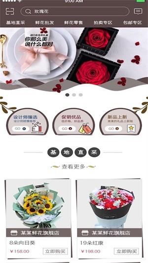 七彩云菊  v1.0.1图2
