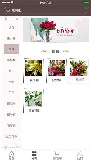 七彩云菊  v1.0.1图1