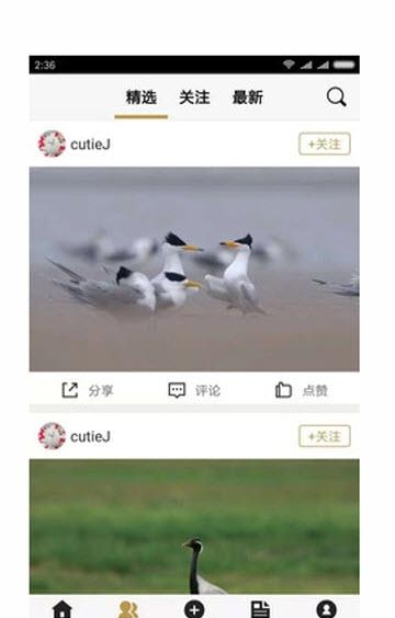 识鸟家  v1.3图2