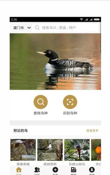识鸟家  v1.3图1