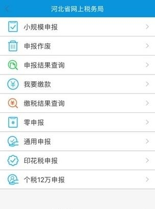 河北网上税局  v2.0图4