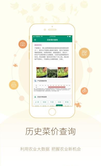 真甜农服  v1.0.3图2