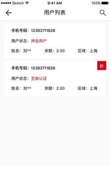 闪骑运维