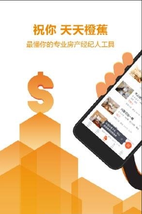 天天橙蕉