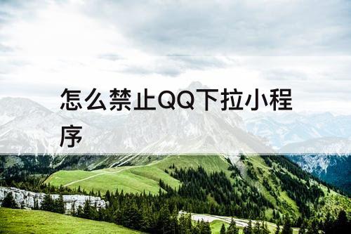 怎么禁止QQ下拉小程序