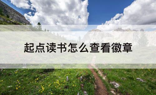 起点读书怎么查看徽章