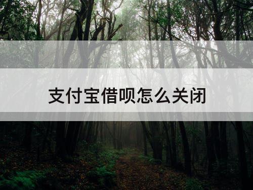 支付宝借呗怎么关闭