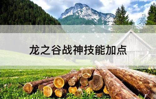 龙之谷战神技能加点