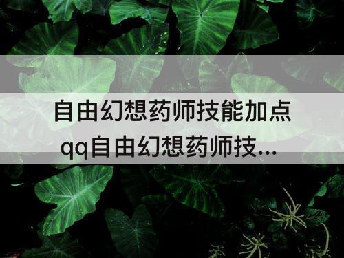 自由幻想药师技能加点 qq自由幻想药师技能加点