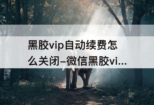 黑胶vip自动续费怎么关闭-微信黑胶vip自动续费怎么关闭