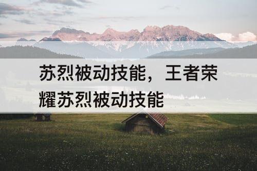 苏烈被动技能，王者荣耀苏烈被动技能