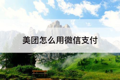 美团怎么用微信支付