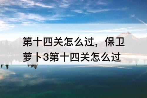 第十四关怎么过，保卫萝卜3第十四关怎么过