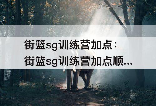 街篮sg训练营加点：街篮sg训练营加点顺序