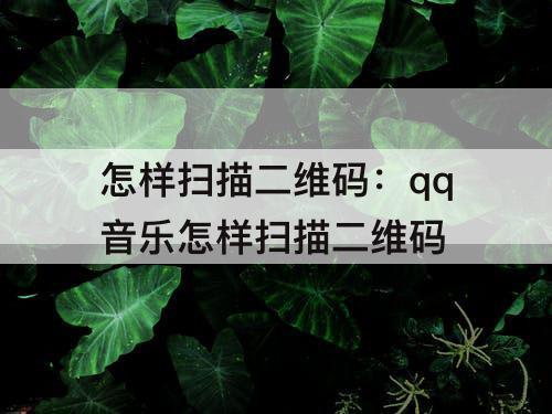 怎样扫描二维码：qq音乐怎样扫描二维码