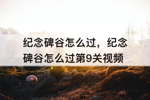 纪念碑谷怎么过，纪念碑谷怎么过第9关文字教程