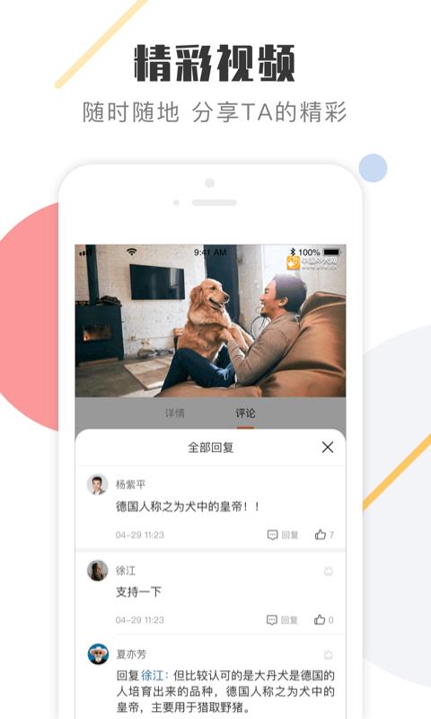 中国K9犬网