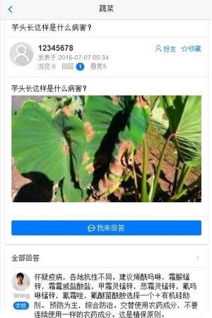 盛产队  v1.0.8图3