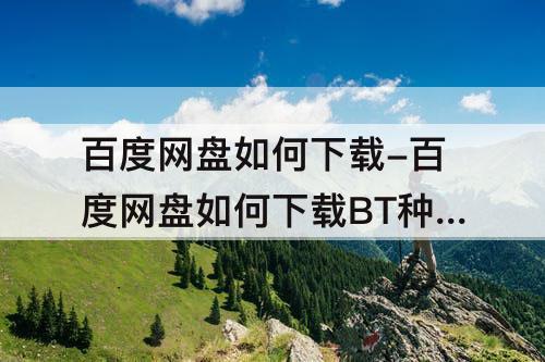 百度网盘如何下载-百度网盘如何下载BT种子