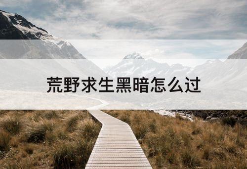 荒野求生黑暗怎么过