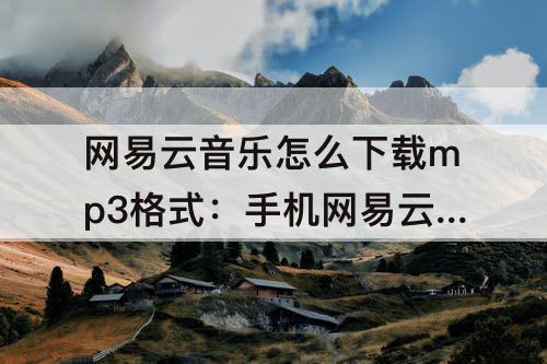 网易云音乐怎么下载mp3格式：手机网易云音乐怎么下载mp3格式的歌曲