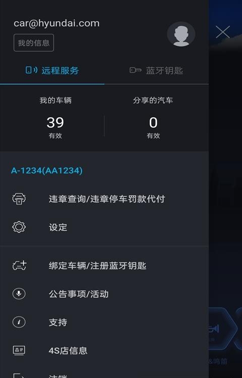 blueLink  v3.04图2
