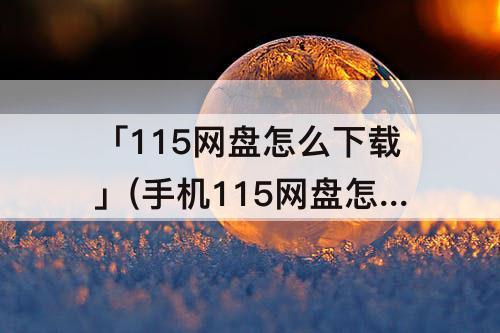 「115网盘怎么下载」(手机115网盘怎么下载)