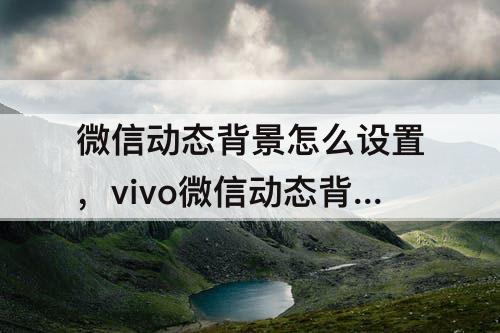 微信动态背景怎么设置，vivo微信动态背景怎么设置