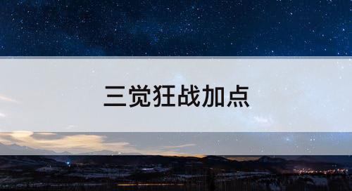 三觉狂战加点