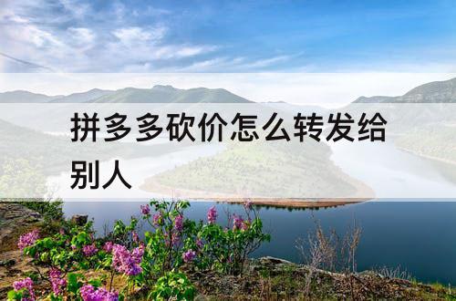 拼多多砍价怎么转发给别人