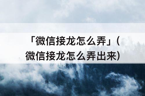 「微信接龙怎么弄」(微信接龙怎么弄出来)