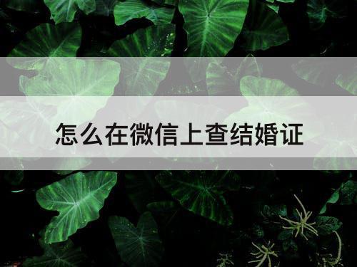 怎么在微信上查结婚证