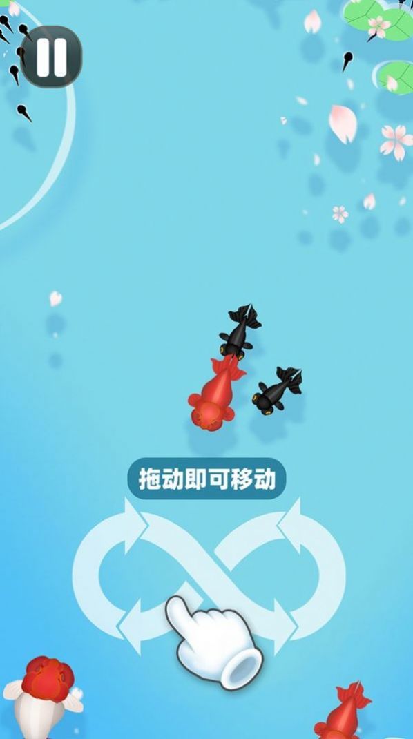 合成大锦鲤  v1.0图2