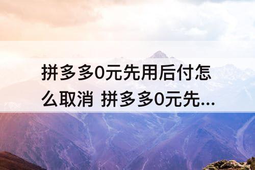 拼多多0元先用后付怎么取消 拼多多0元先用后付怎么取消
