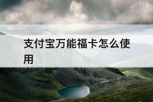 支付宝万能福卡怎么使用