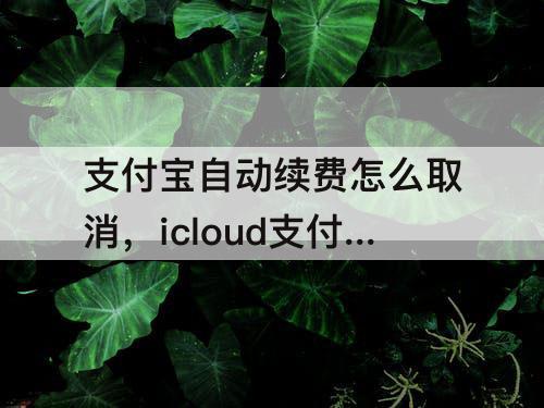 支付宝自动续费怎么取消，icloud支付宝自动续费怎么取消订阅