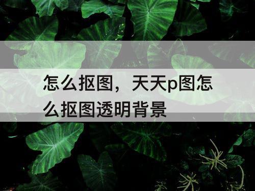 怎么抠图，天天p图怎么抠图透明背景