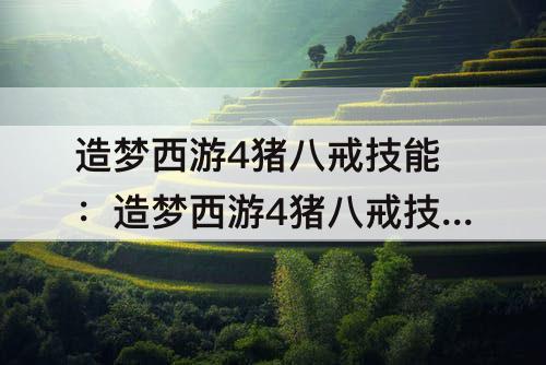 造梦西游4猪八戒技能：造梦西游4猪八戒技能加点钝系