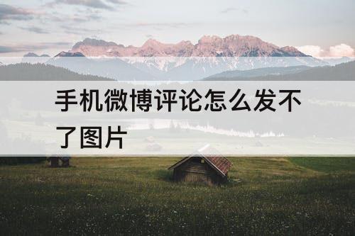 手机微博评论怎么发不了图片