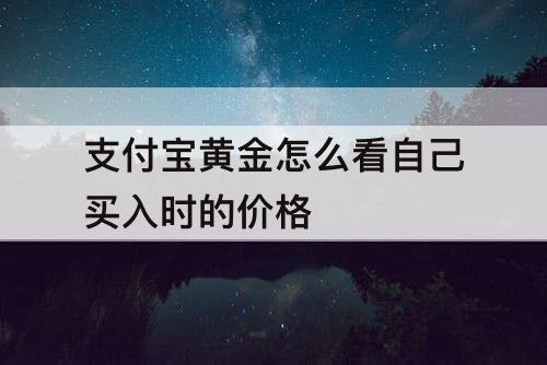 支付宝黄金怎么看自己买入时的价格