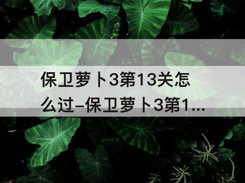 保卫萝卜3第13关怎么过-保卫萝卜3第13关怎么过?