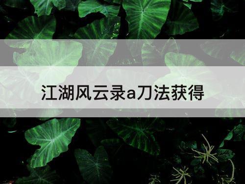 江湖风云录a刀法获得