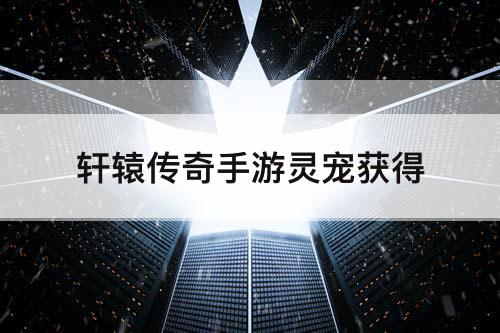 轩辕传奇手游灵宠获得