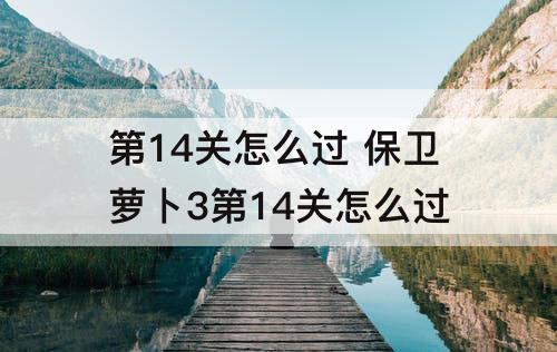 第14关怎么过 保卫萝卜3第14关怎么过