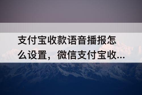 支付宝收款语音播报怎么设置，微信支付宝收款语音播报怎么设置