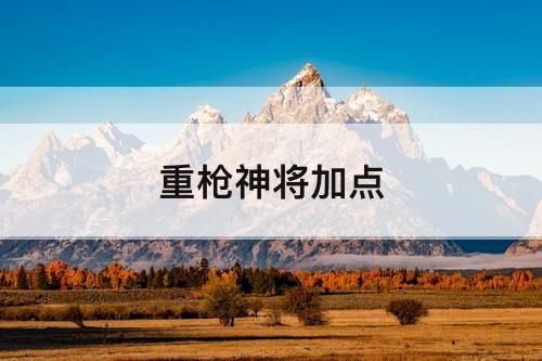 重枪神将加点