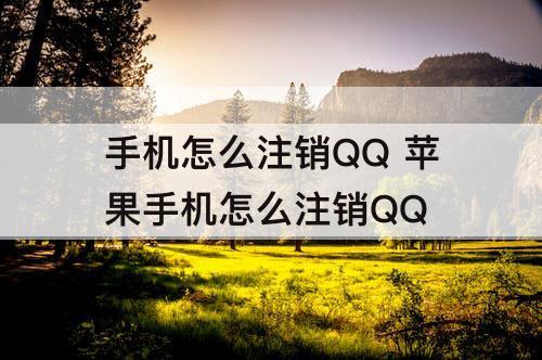 手机怎么注销QQ 苹果手机怎么注销QQ