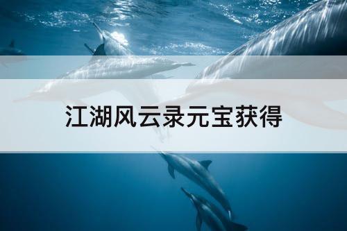 江湖风云录元宝获得