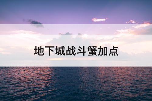地下城战斗蟹加点