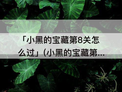 「小黑的宝藏第8关怎么过」(小黑的宝藏第8关怎么过攻略)